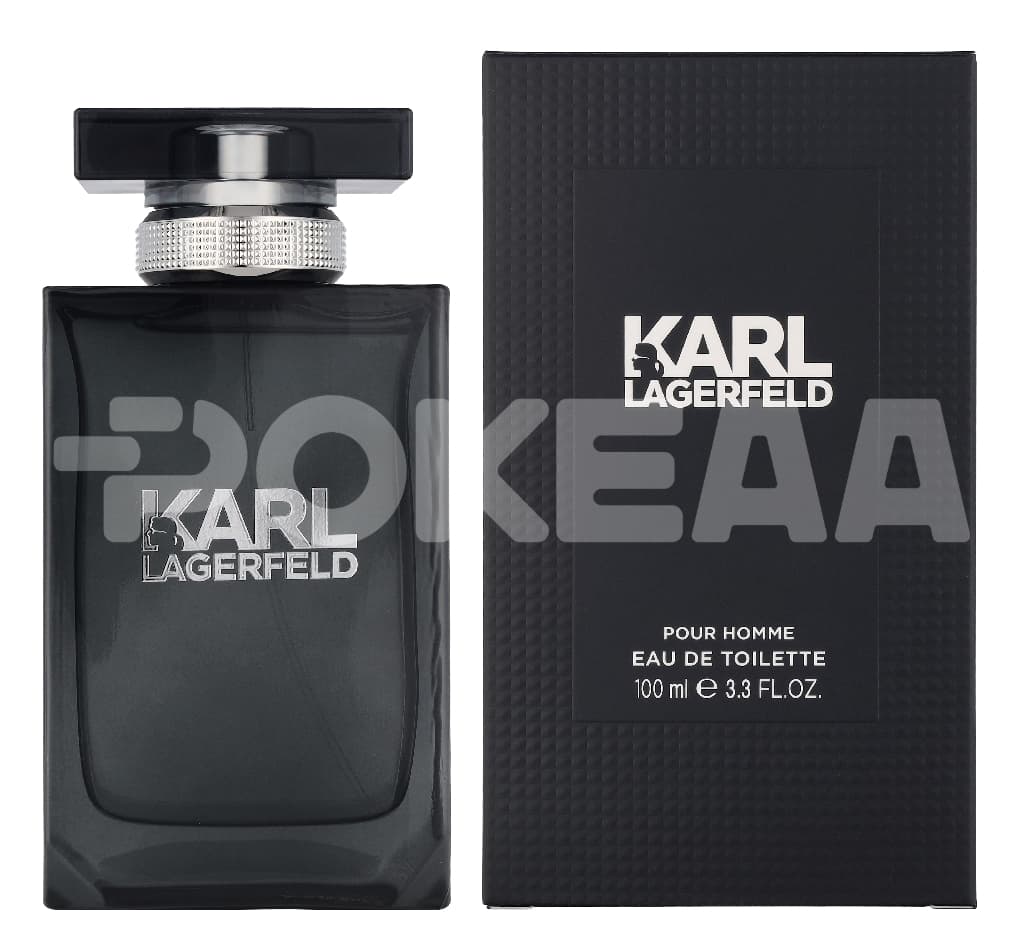 Karl Lagerfeld Pour Homme Edt Spray 100ml 1