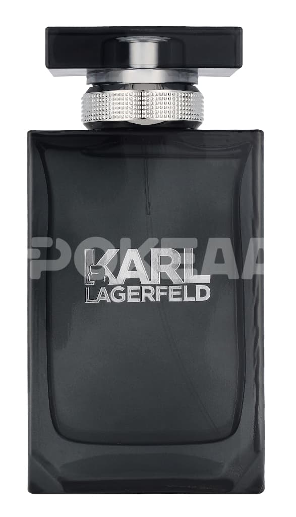 Karl Lagerfeld Pour Homme Edt Spray 100ml 2