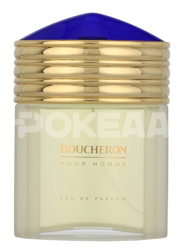 Boucheron Pour Homme Edp Spray 100ml 2