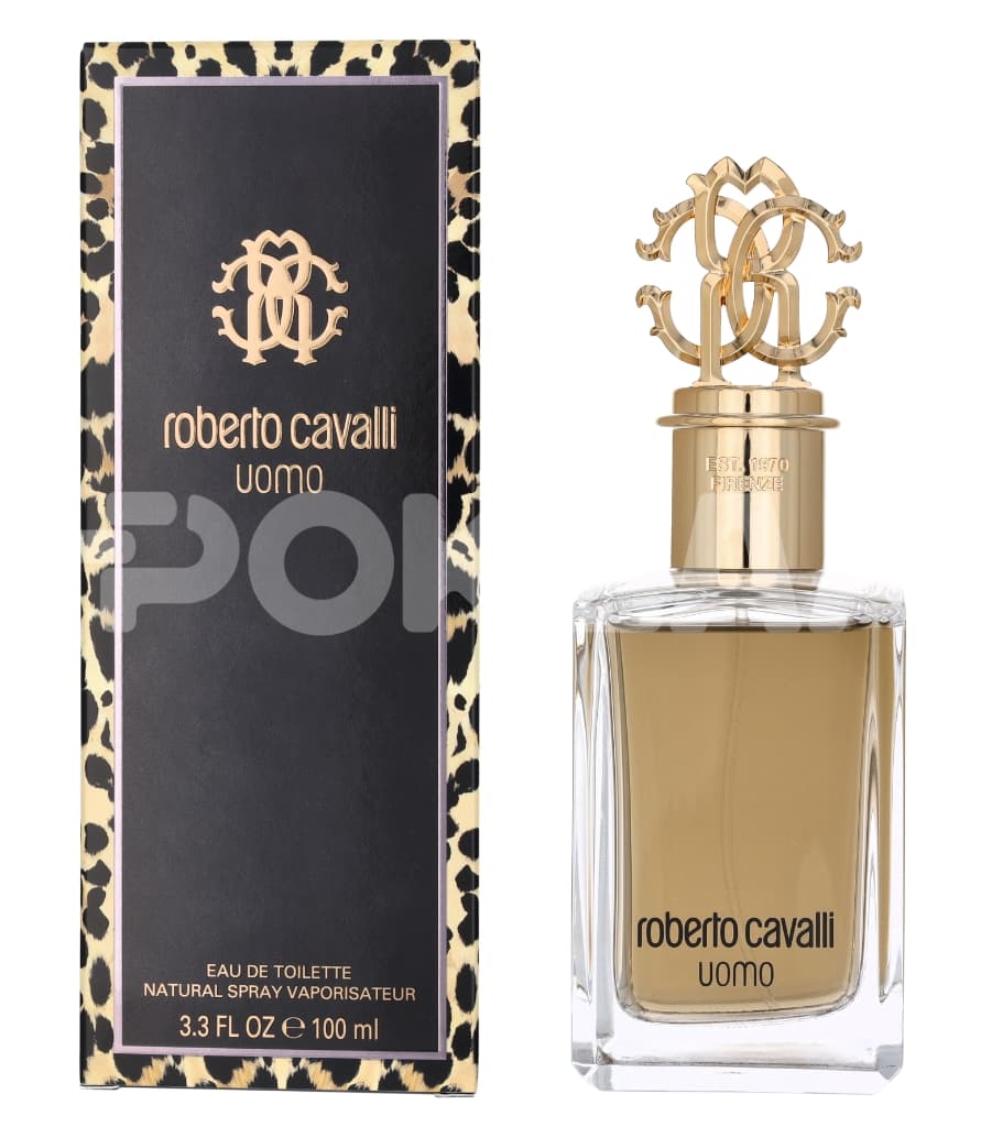 Roberto Cavalli Uomo Edt Spray 100ml 1