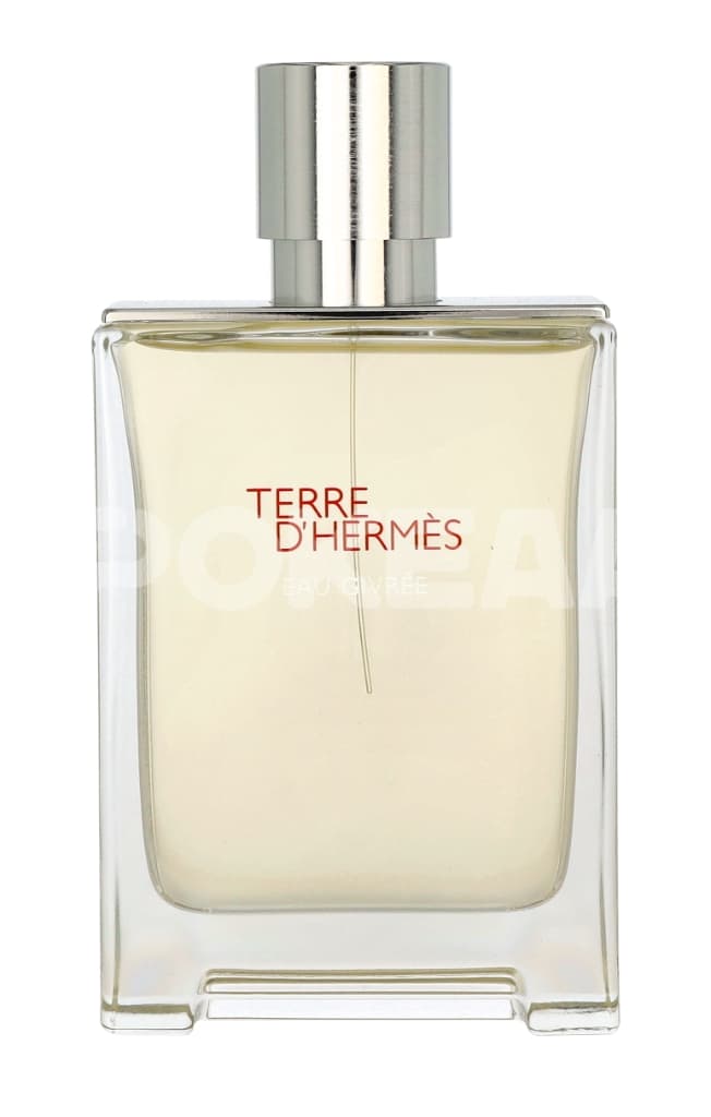 Hermes Terre D'Hermes Eau Givree Edp Spray 100ml - Refillable 2