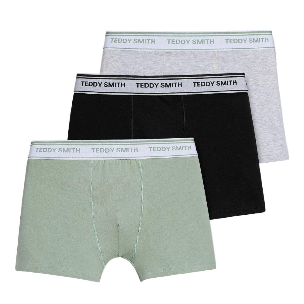 Lot de 3 Boxers Gris/Kaki Homme Teddy Smith 1TS/52/9 1