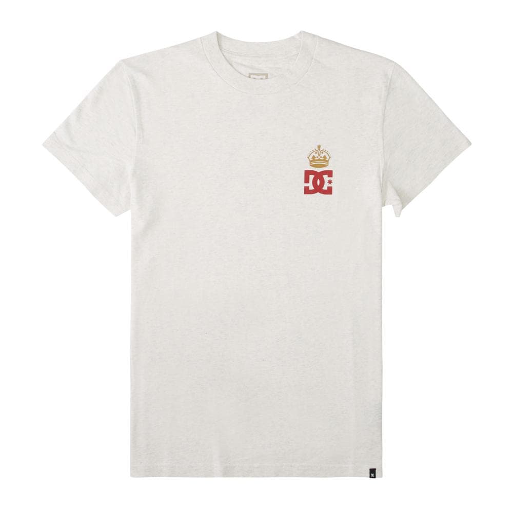 T-Shirt Gris Homme Dc shoes Hills 1
