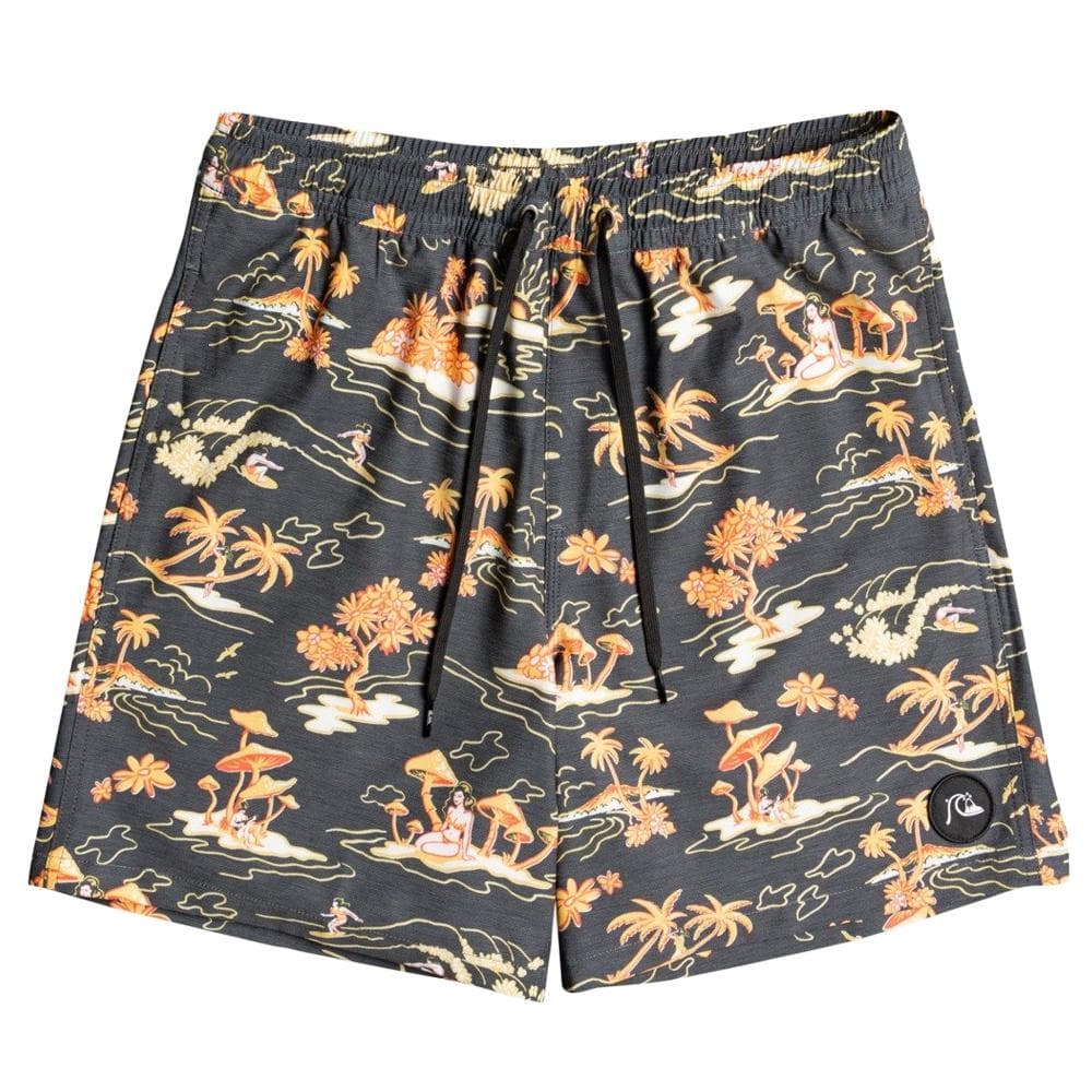 Maillot de bain Noir Homme Quiksilver Mix 17nb 1