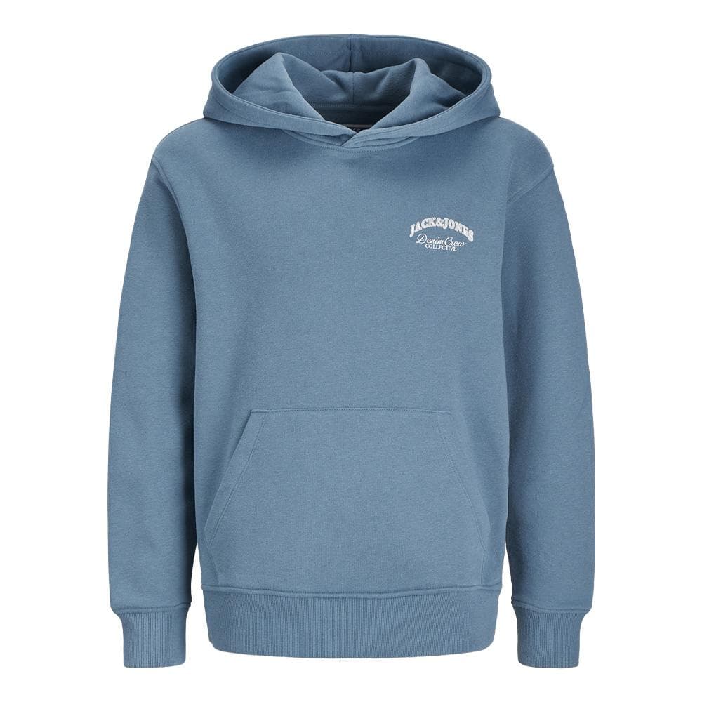 Sweat Bleu Foncé Garçon Jack & Jones Brandes 1
