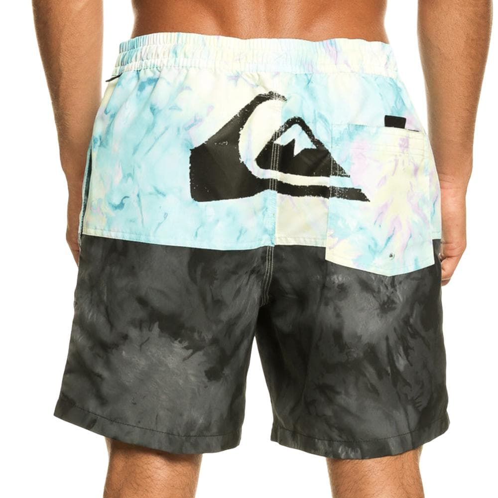 Maillot de bain Noir/Bleu Homme Quiksilver Butt Logo 2