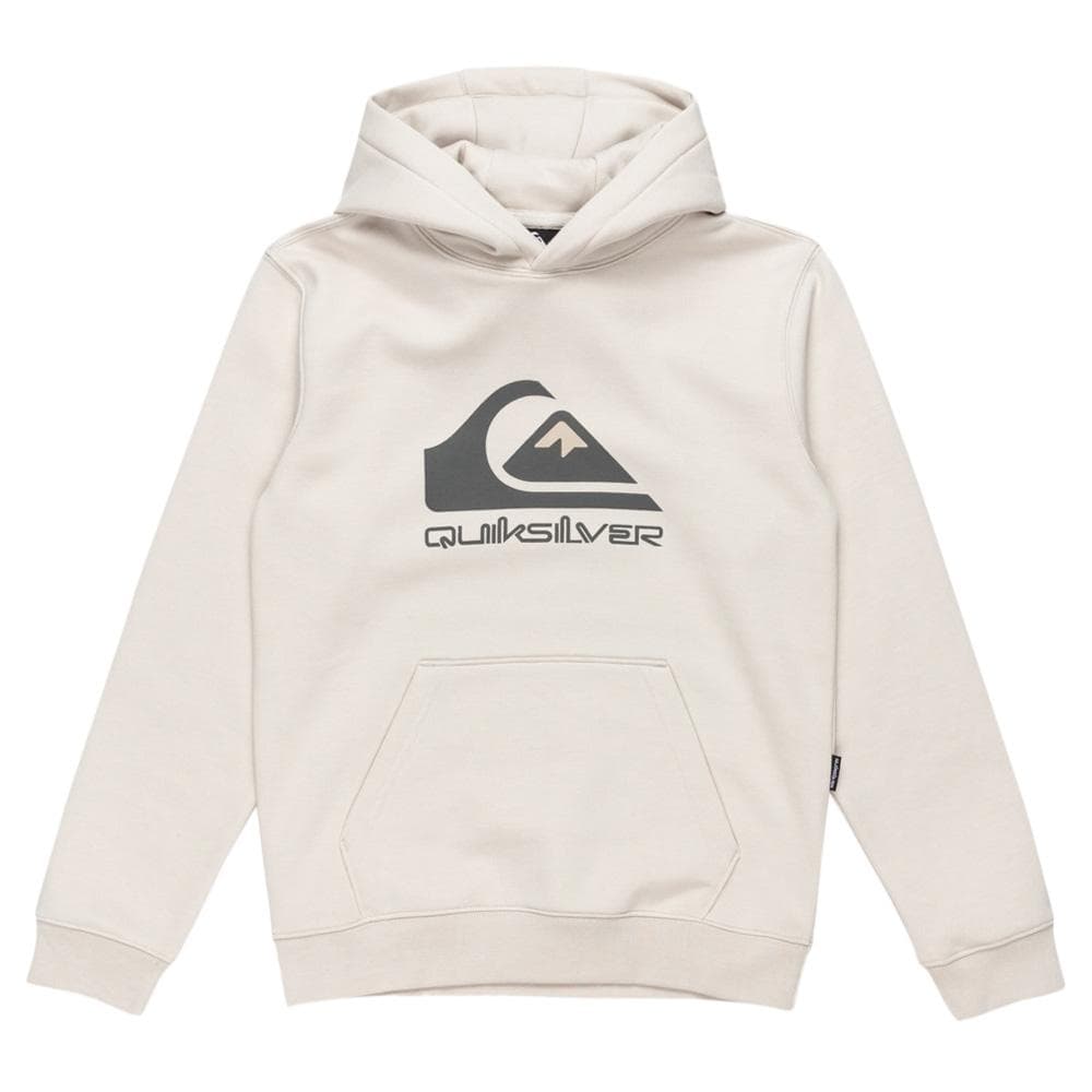Sweat à Capuche Gris Garçon Quiksilver Big logo 1