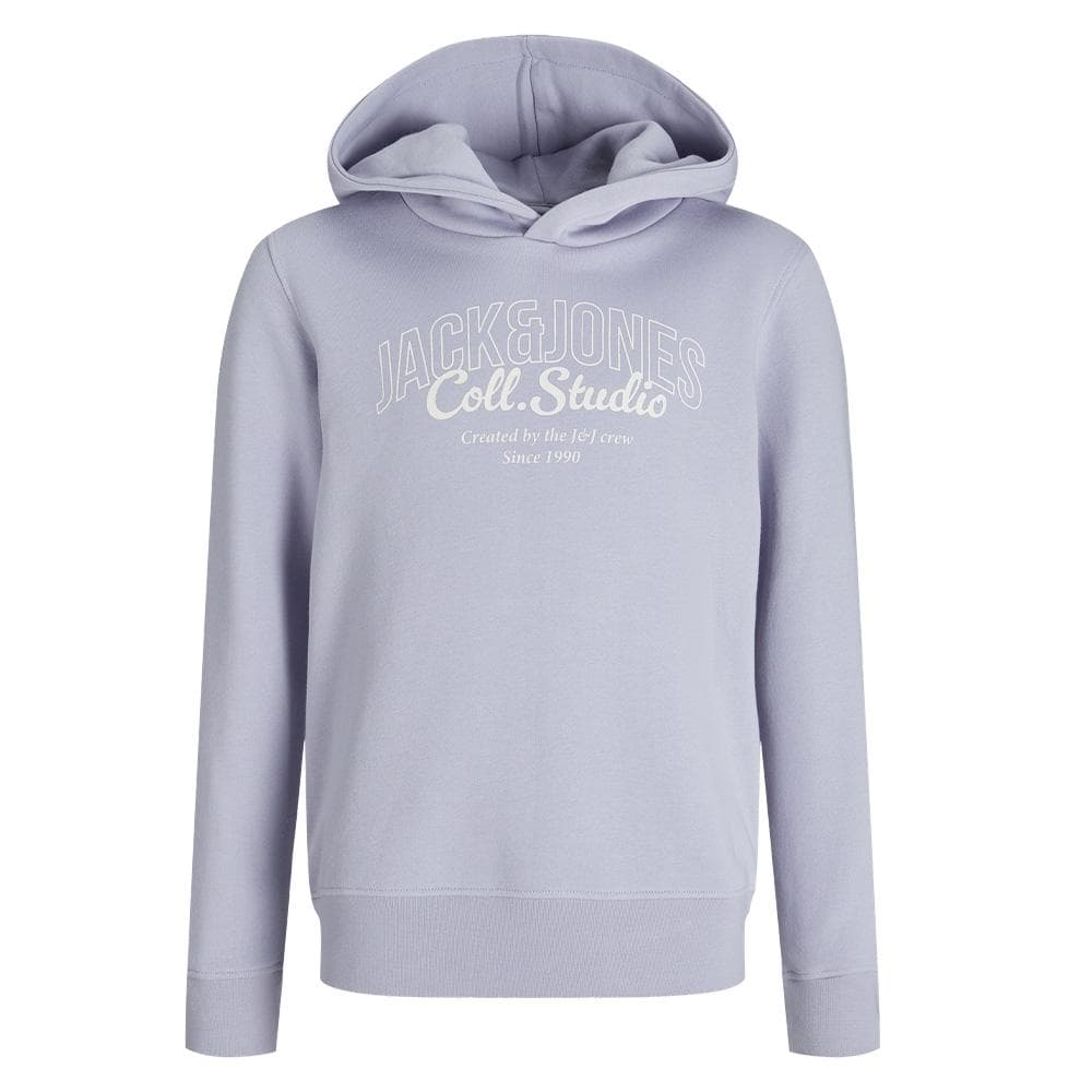 Sweat à Capuche Mauve Garçon Jack & Jones Makoto 3