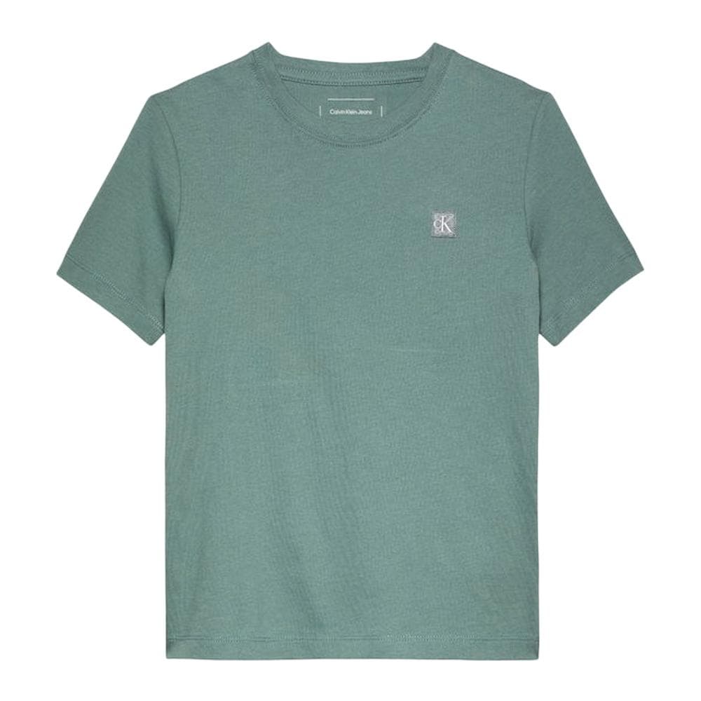 T-shirt Vert Garçon Calvin Klein Jeans IU0IU00543 2