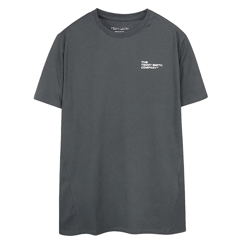 T-Shirt Gris Garçon Teddy Smith Company 1