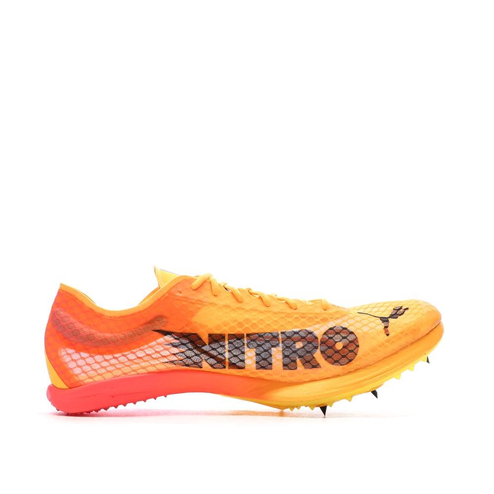 Chaussures d'athlétismes Orange Homme Puma Evospeed Distance Nitro Elite 2