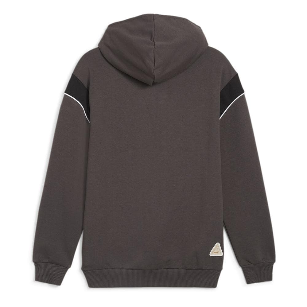 Dortmund Sweat Gris Homme Puma 2024 2