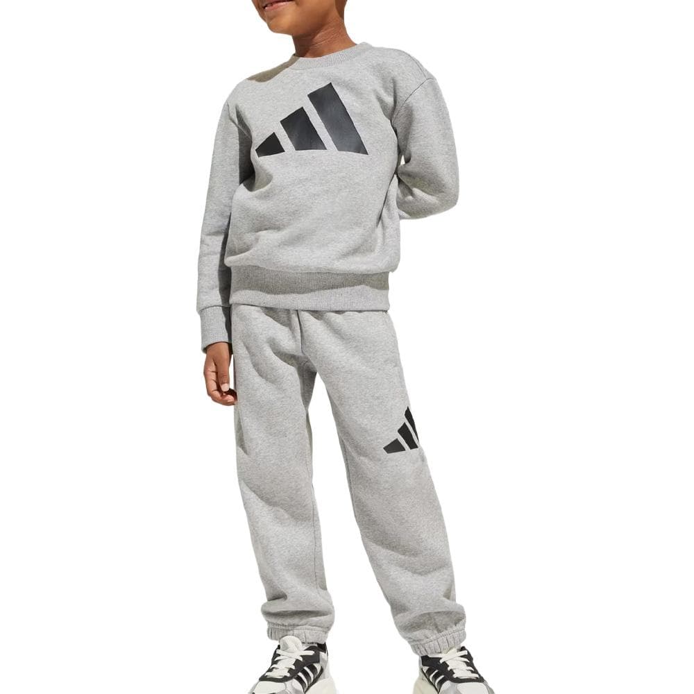 Ensemble Gris Garçon Adidas Bl Fl 1