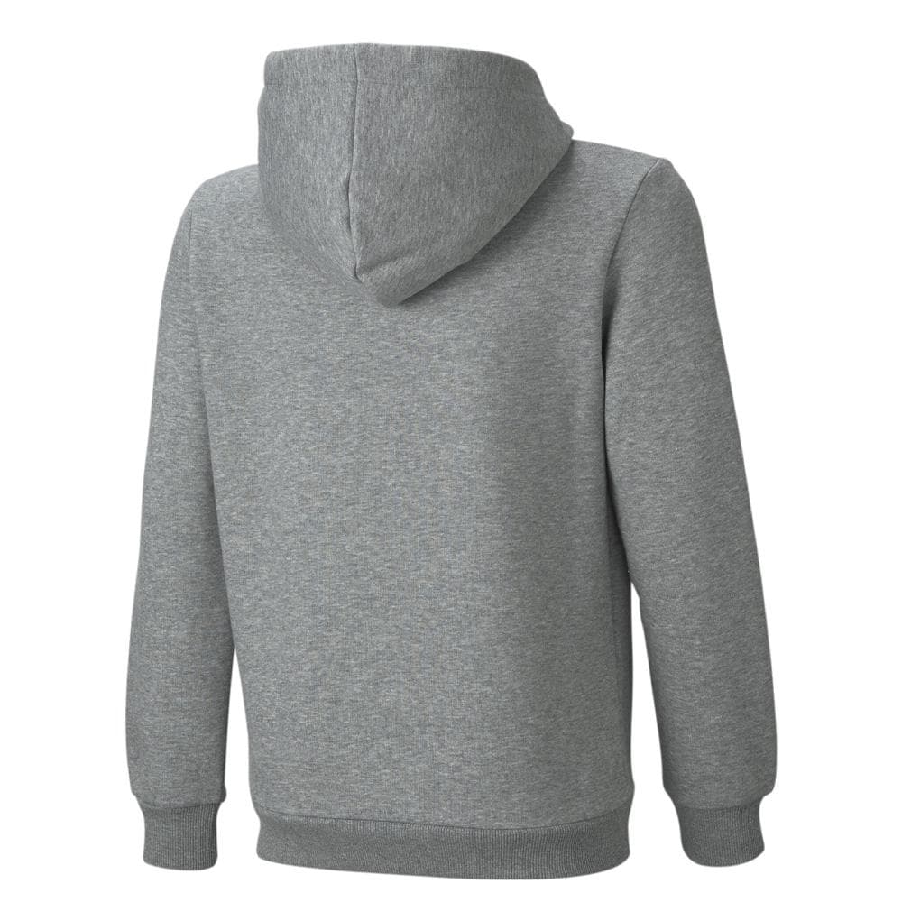 Sweat Gris Garçon Puma Hoodie 2