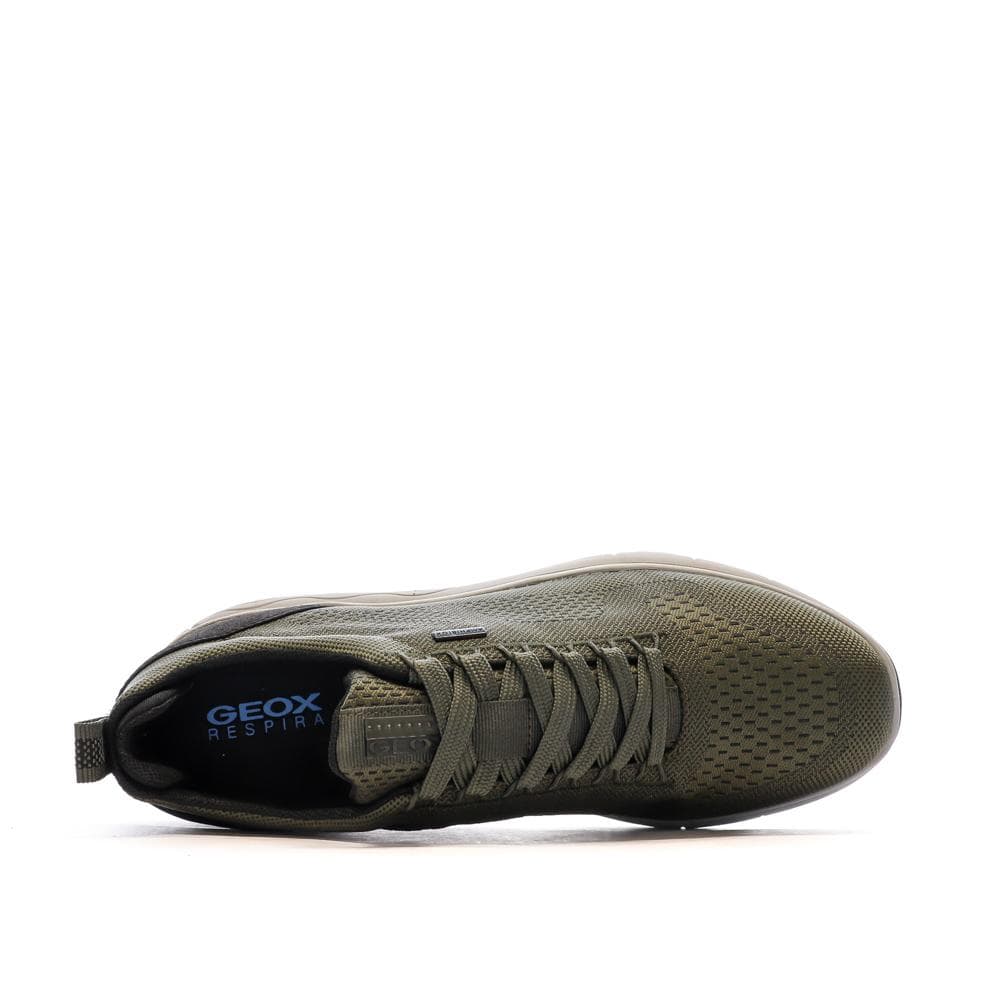 Baskets Kaki Homme Geox Sepherica 4