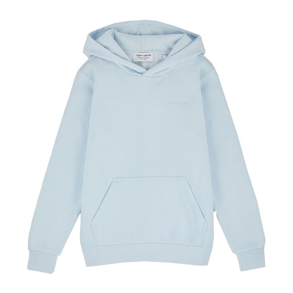 Sweat à Capuche Bleu Clair Homme Teddy Smith nark Hoody 1