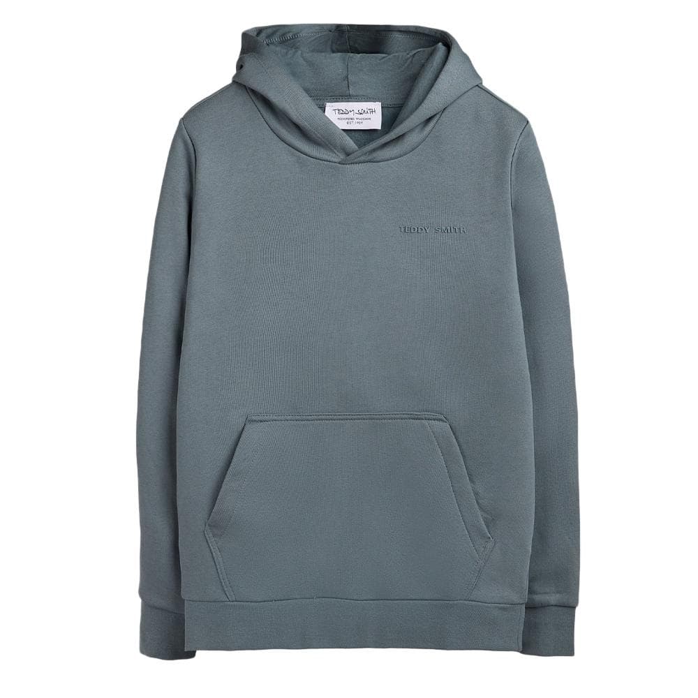 Sweat Gris Garçon Teddy Smith S-nark Hoody Jr 1