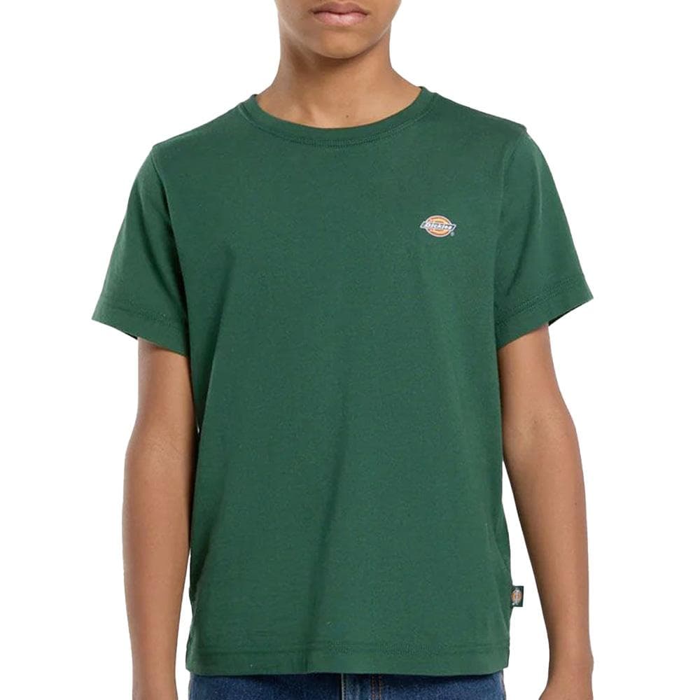 T-Shirt Vert Garçon Dickies Mapleton 1