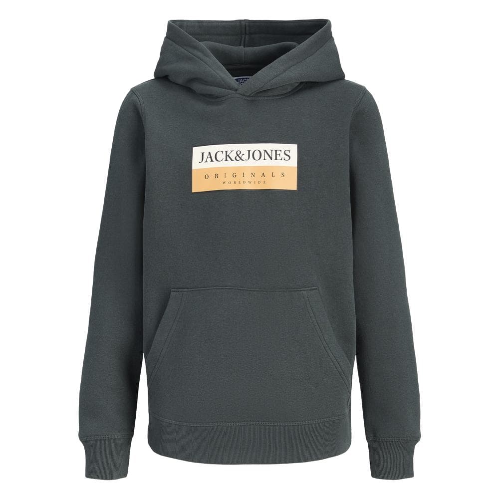 Sweat Gris Foncé Garçon Jack & Jones Frederiksberg 1