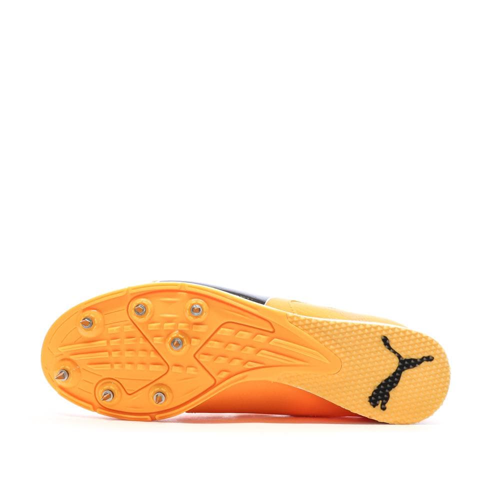 Chaussures d'athlétisme Orange Homme Puma Evospeed 5