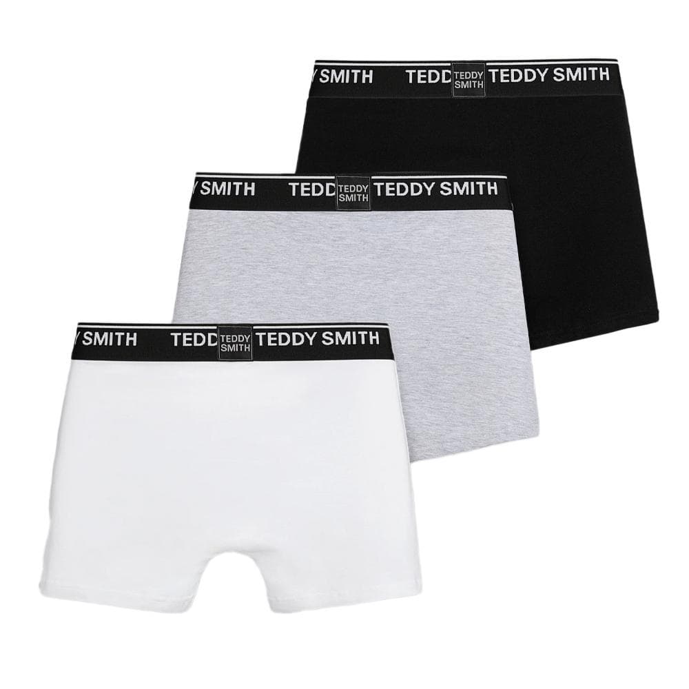 Lot de 3 Boxers Noirs/Gris/Blanc Homme Teddy Smith 1TS/52/8 2
