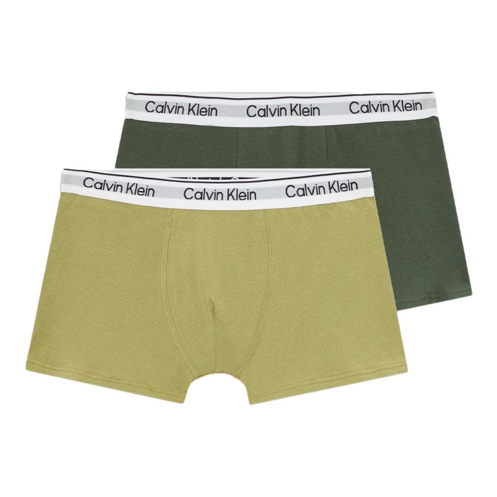 Lot de deux Boxers Vert Garçon Calvin Klein Jeans B70B700506 1