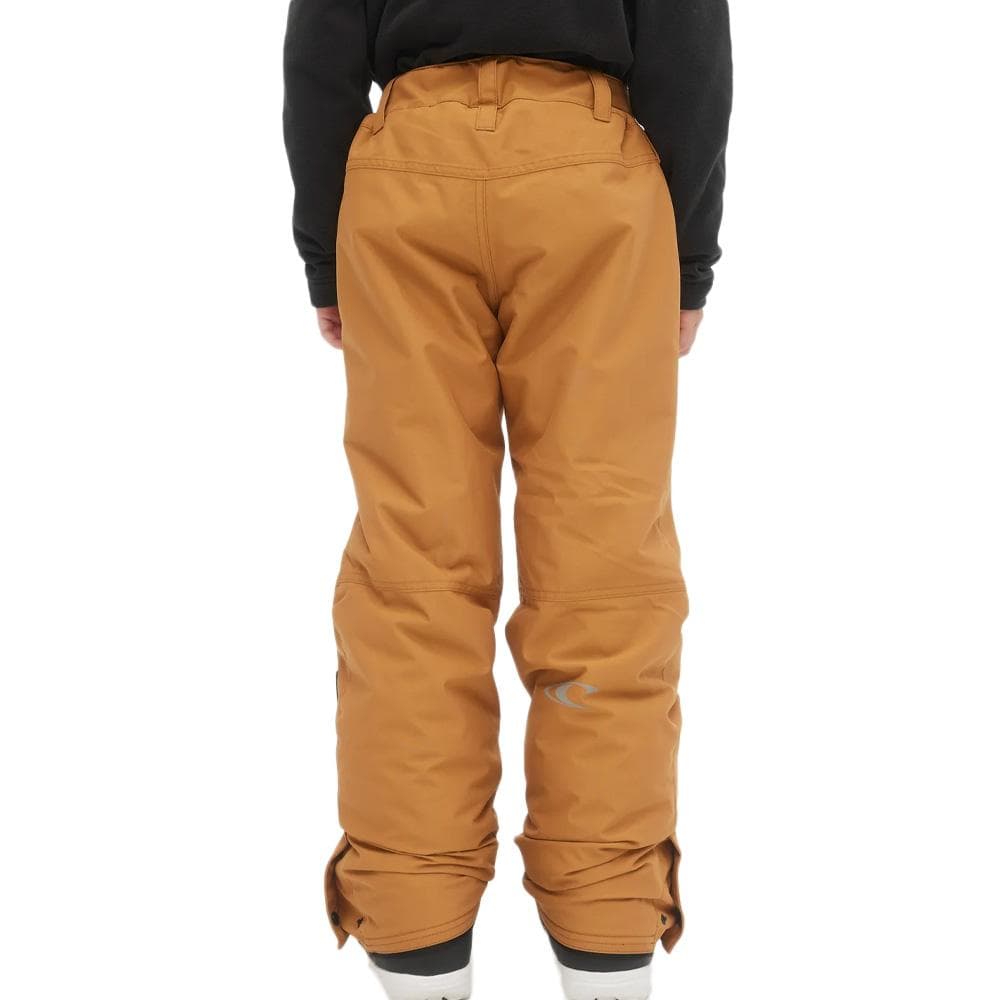 Pantalon de ski Camel Garçon O'Neill Hammer Pants 2