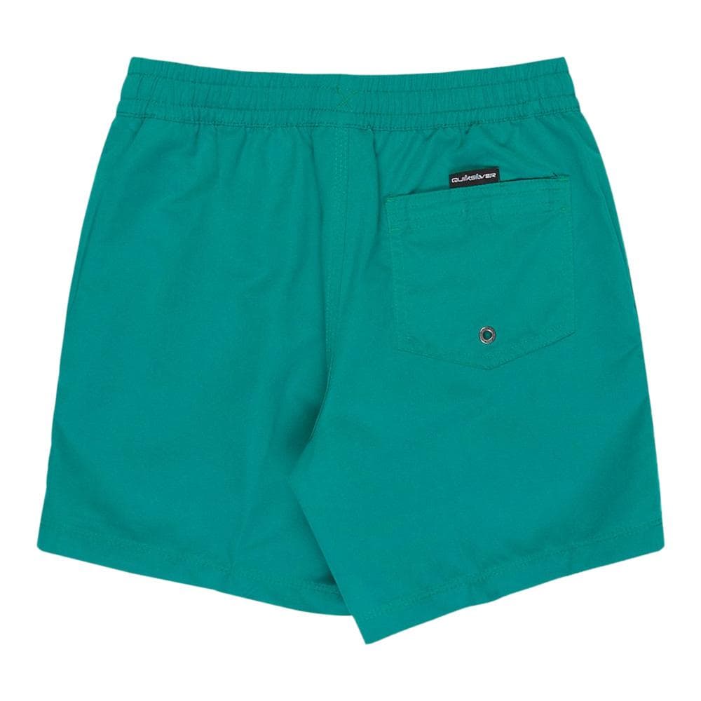 Short de bain Vert Garçon Quiksilver Everyday 2