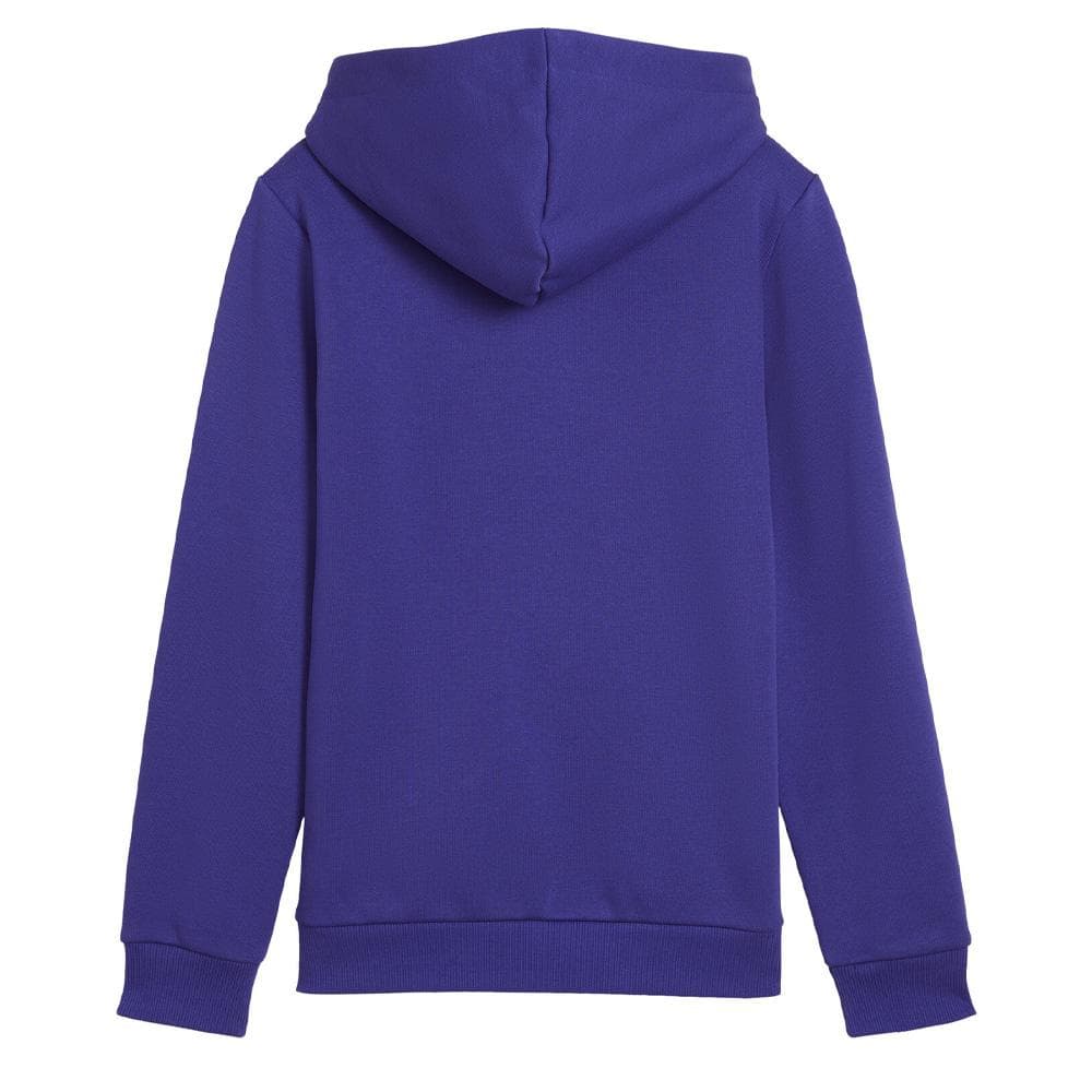 Sweat Bleu électrique Garçon Puma 5869870 2