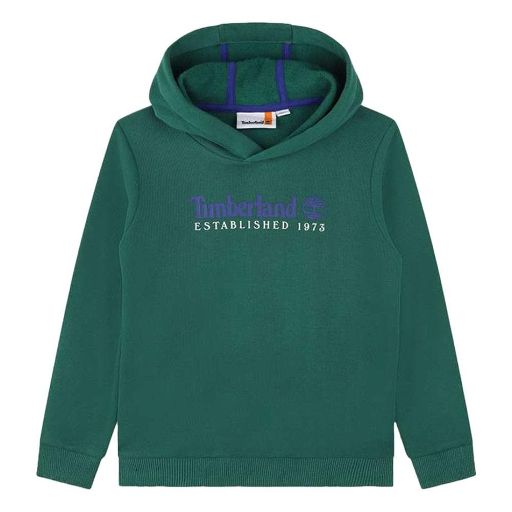 Sweat Vert/Bleu Garçon Timberland T25U56 1