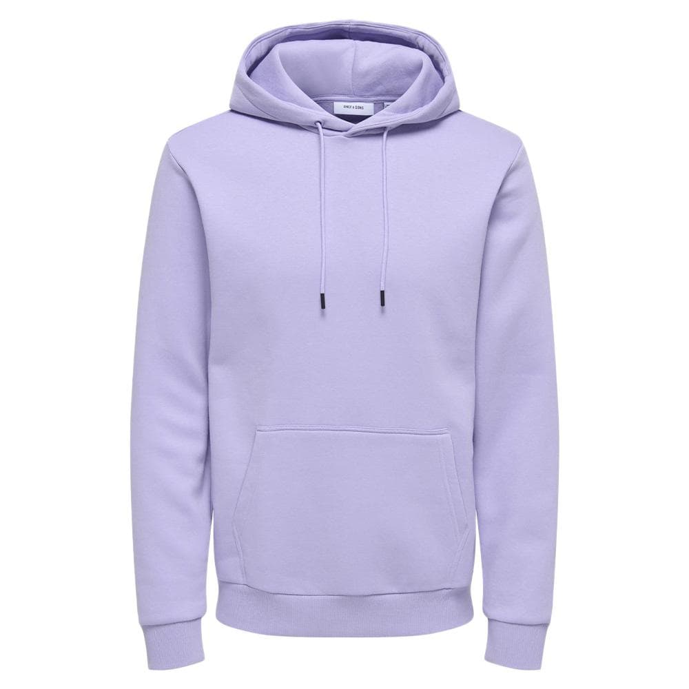 Sweat à Capuche Lilas Moyen Homme Only & Sons Ceres 3