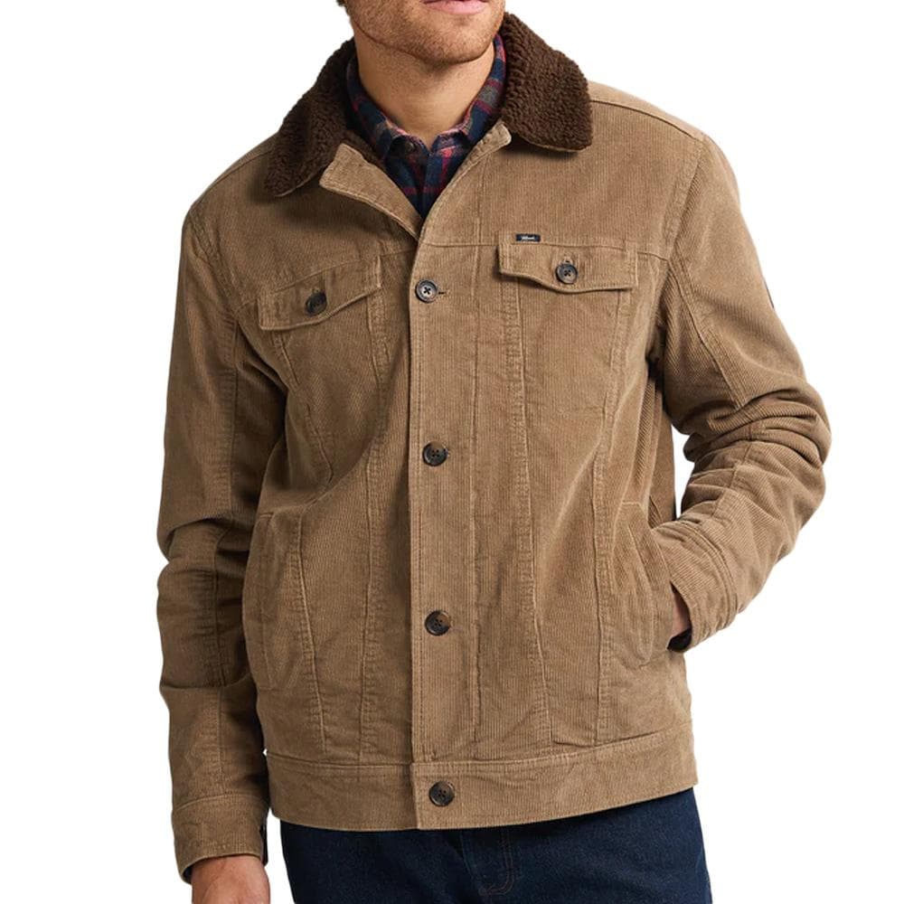Veste Camel Homme Petrol Industries Padded 1