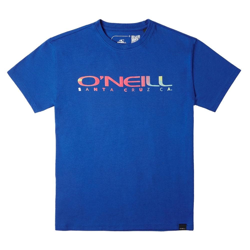 T-shirt Bleu Garçon O'Neill Sanborn 1