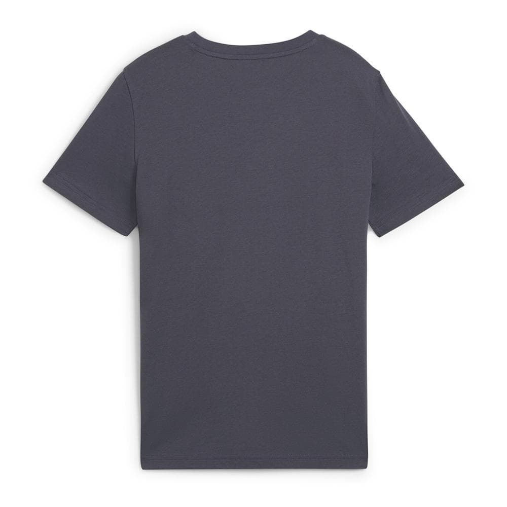 T-shirt Gris Garçon Puma Graphi 2