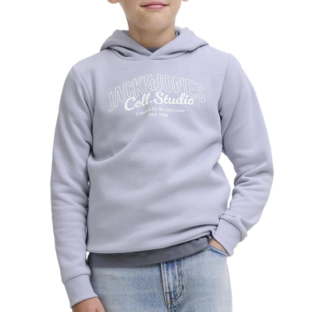 Sweat à Capuche Mauve Garçon Jack & Jones Makoto 1