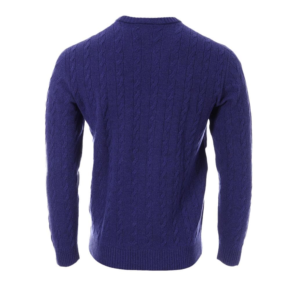 Pull Bleu Homme Lacoste Tricot AH1991 2