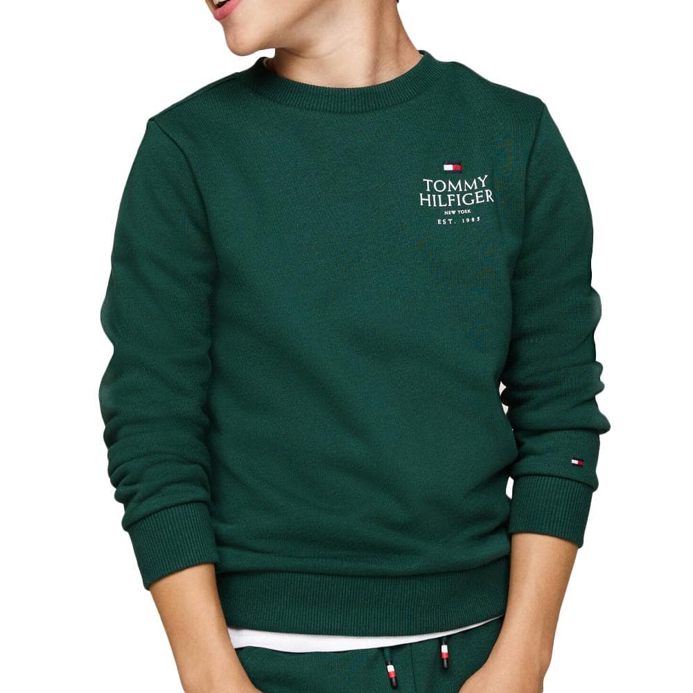 Sweat Vert Garçon Tommy Hilfiger Logo Puff 1