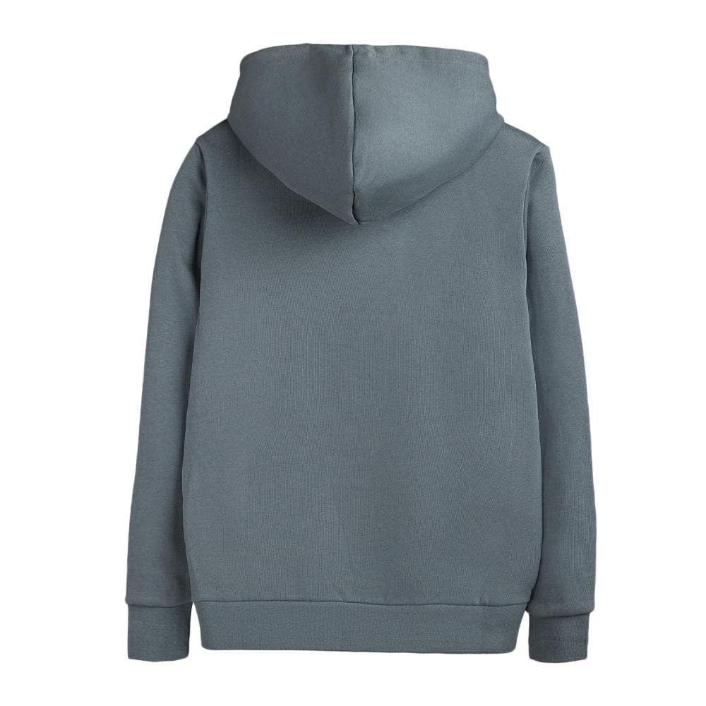 Sweat à Capuche Gris Homme Teddy Smith nark Hoody 2