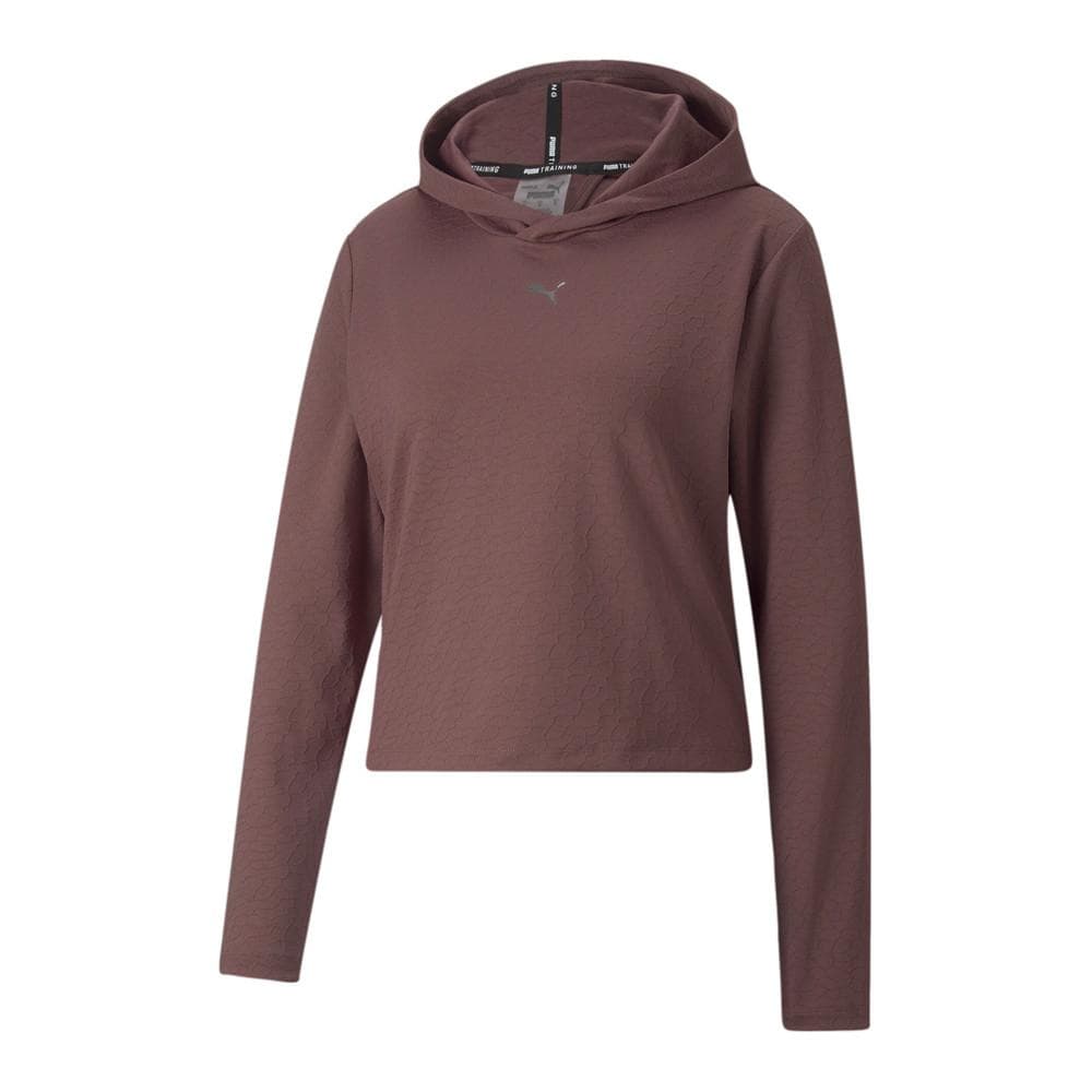 Sweat à capuche Prune Femme Puma Reg Length 1