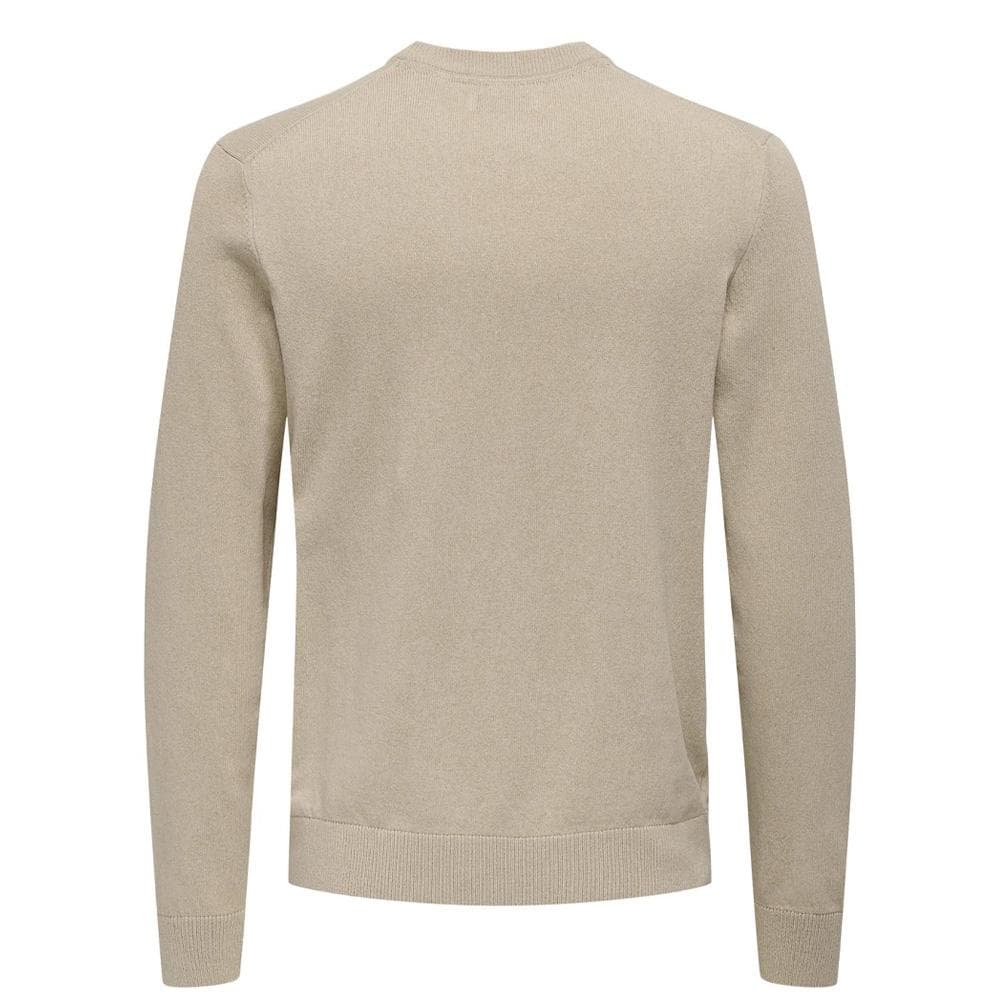 Pull Beige Homme Only & Sons Onsrex Life 2