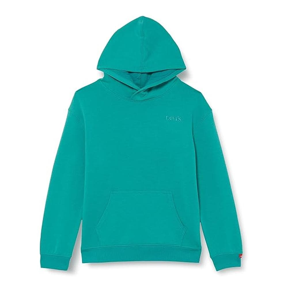 Sweat à capuche Vert Garçon Levi's 9ED475 1