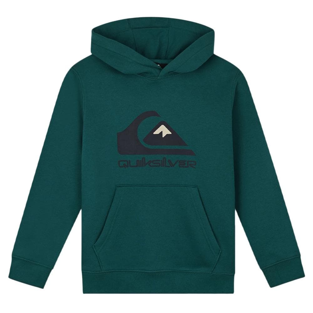 Sweat à Capuche Vert Foncé Garçon Quiksilver Big logo 1