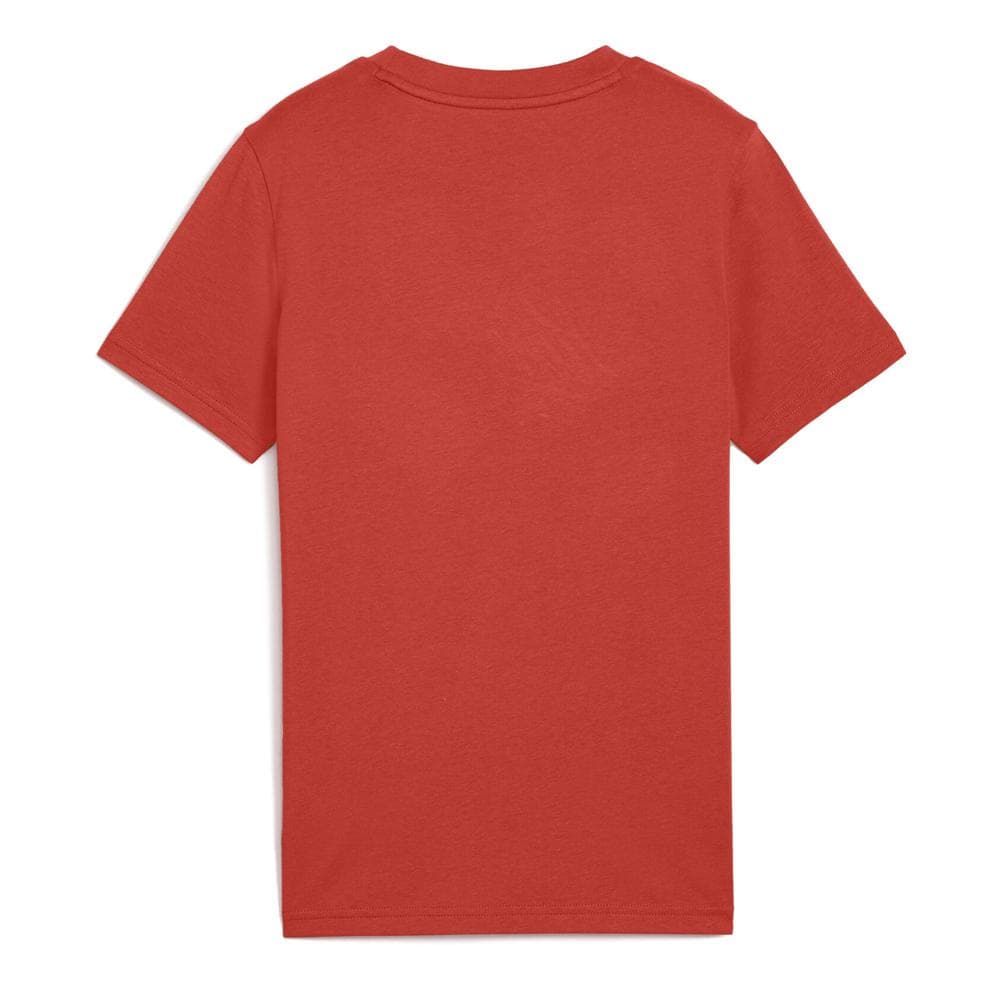 T-Shirt Terracotta Fille Puma Script 2