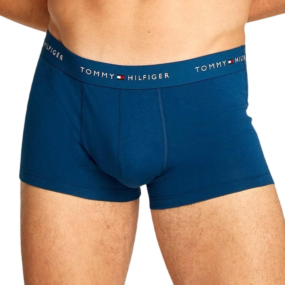 X3 Boxers Bleu Homme Tommy Hilfiger 3p Trunk Dtm 2