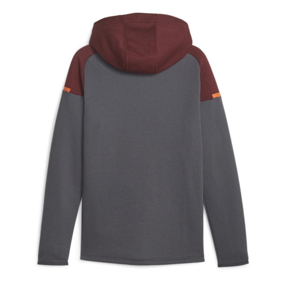 Manchester City Sweat Zippé Grise Homme Puma Casuals Hooded 2