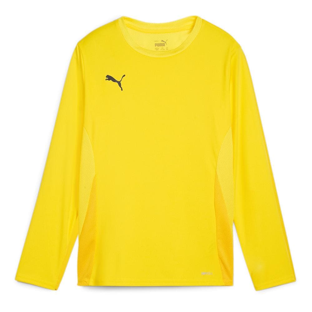 T-Shirt Jaune Homme Puma Teamgoal 1