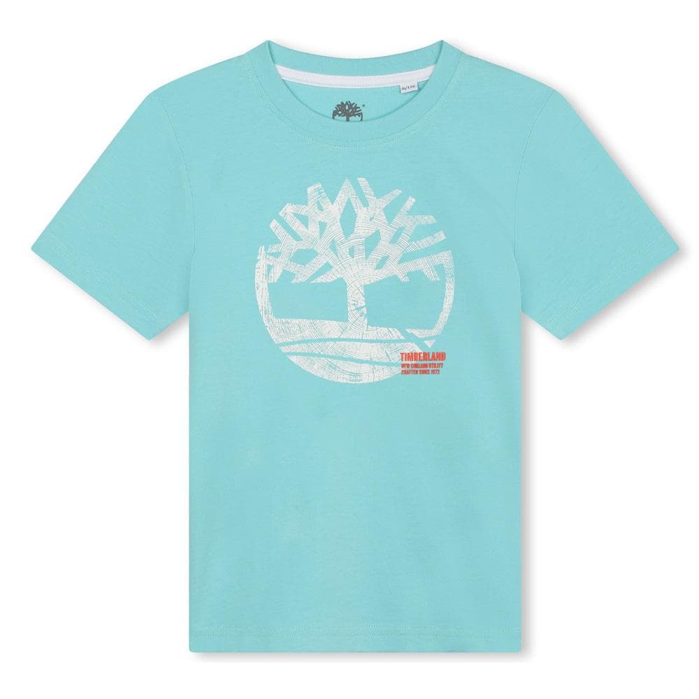 T-Shirt Bleu Clair Garçon Timberland T60087 1