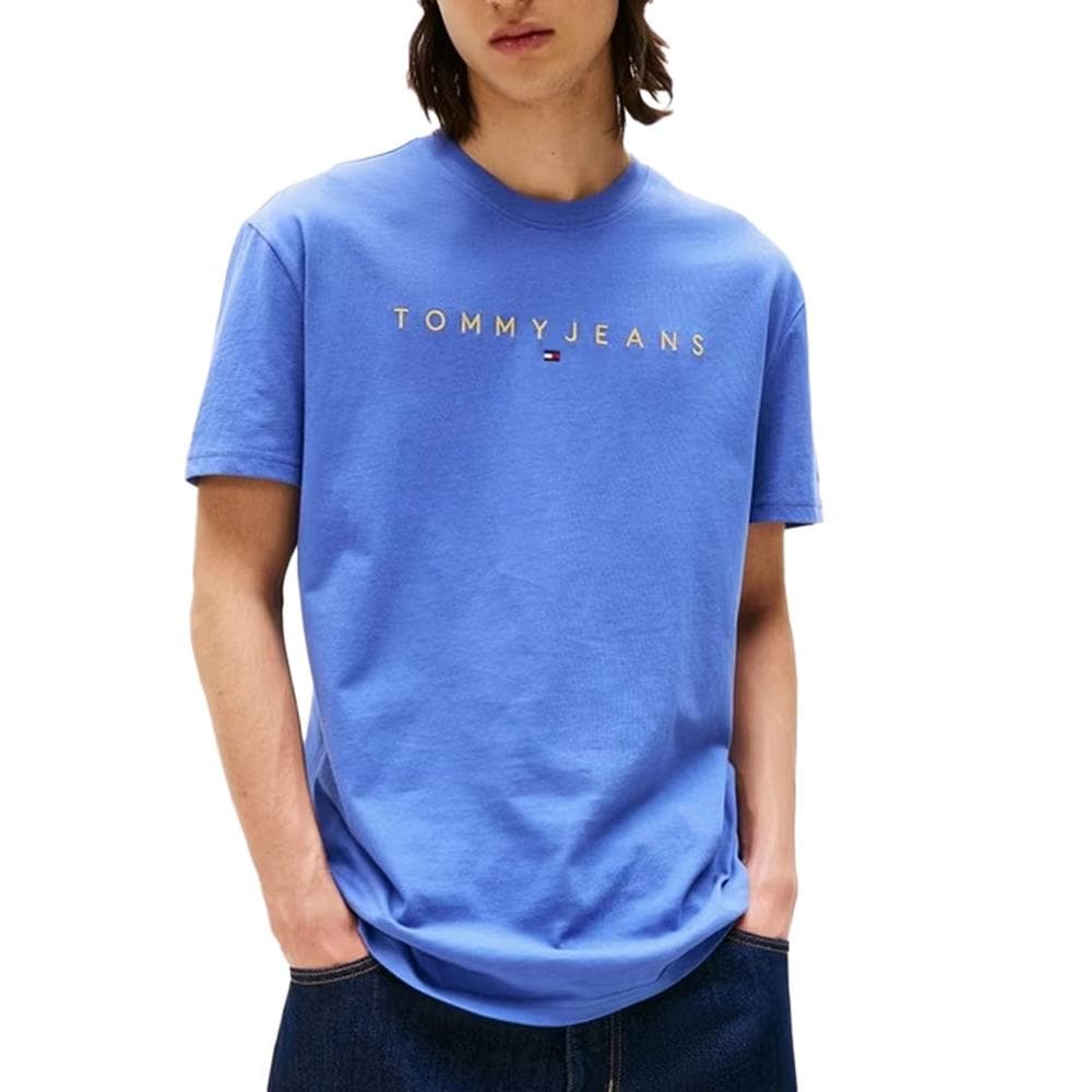 T-Shirt Bleu Homme Tommy Hilfiger Reg Linears 1