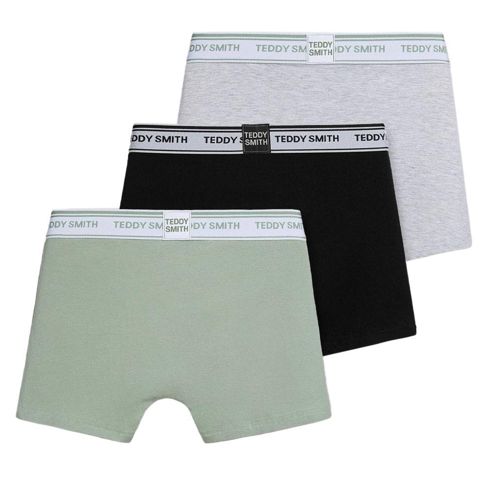 Lot de 3 Boxers Gris/Kaki Homme Teddy Smith 1TS/52/9 2