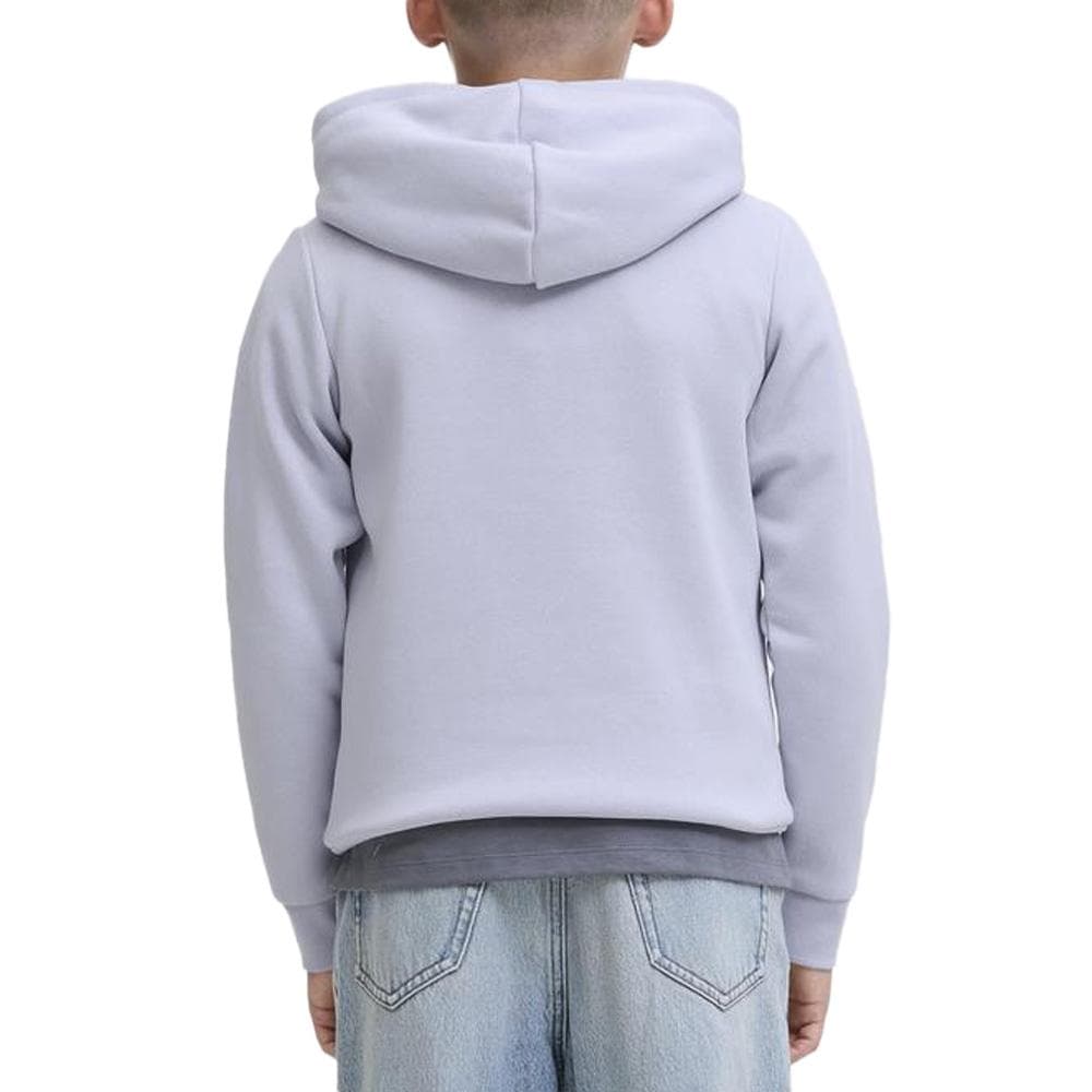Sweat à Capuche Mauve Garçon Jack & Jones Makoto 2
